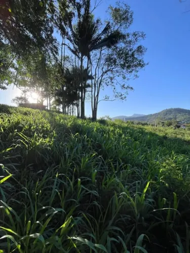 Terreno 530 m² no Centro de Pomerode - Pronto para Construir