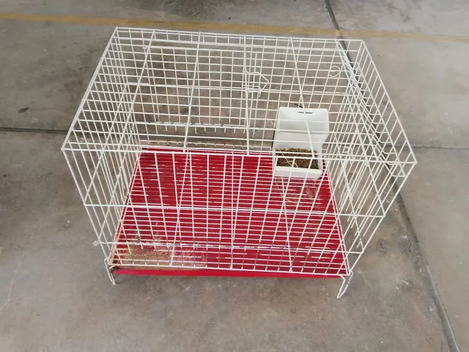 Gaiola para coelho