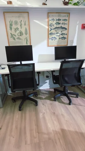 Estação de Trabalho Premium (Mesa Atto 2m + 2 Cadeiras Goah Ergônomicas) - 1 ano de uso