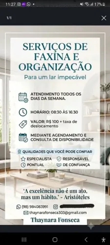 Faxina e organização