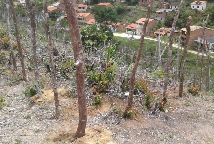 Vendo ou troco Terreno em Saubara