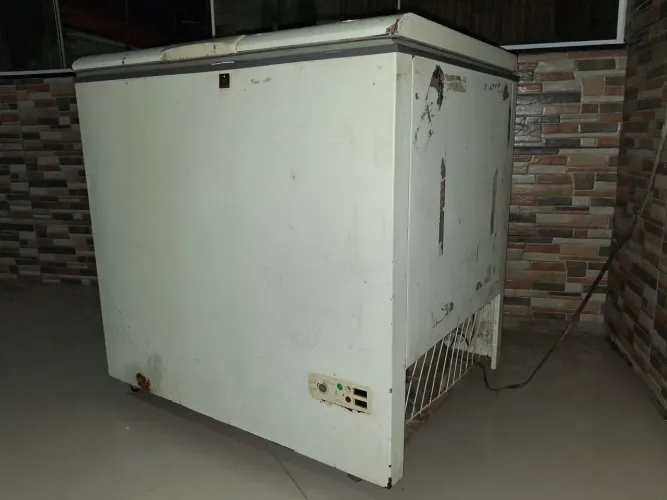 FREEZER CONSUL