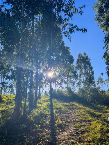 Terreno de Chácara em Campo largo | 70 mil de entrada e restante parcelado sem juros