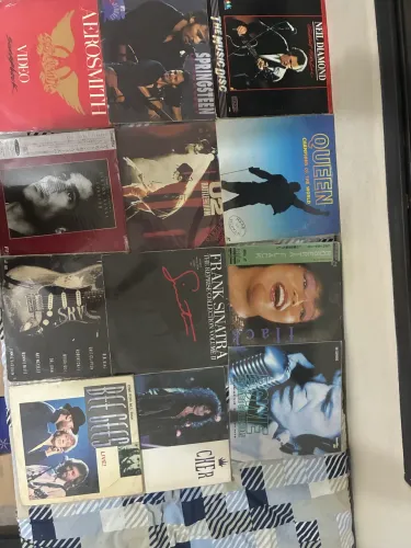 Lote de laserdiscs