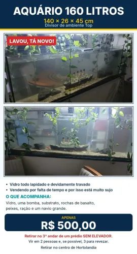 Aquario grande