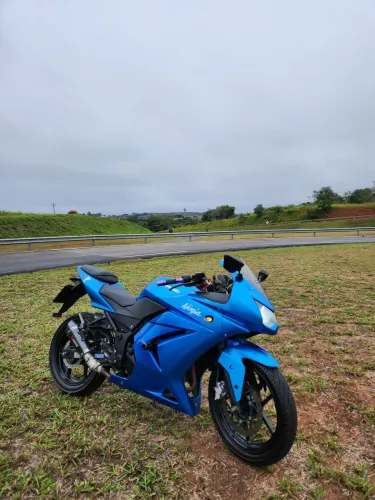Ninja 250