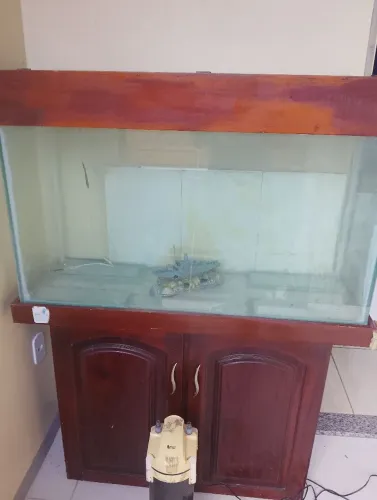 Aguario Grande <br>35 prof