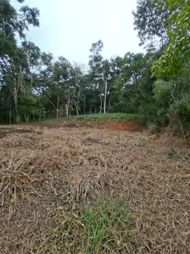LINDO TERRENO DE 3.000 METROS NA BEIRA DO ASFALTO COM TERRAPLANAGEM PRONTA