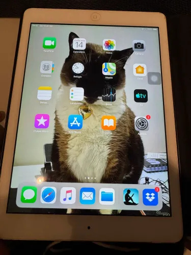 iPad 
