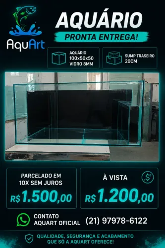 Aquário 100×50×50 em vidro 8mm com sump traseiro