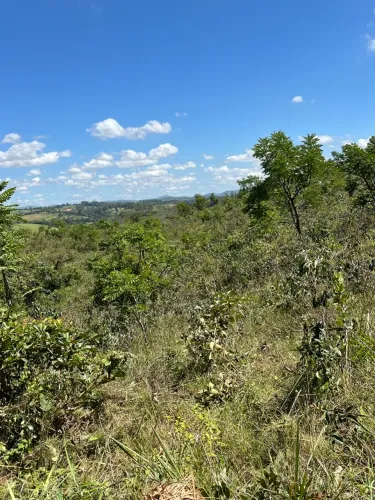 Terreno 2.500m Entre Rios de Minas MG R$60.000,00