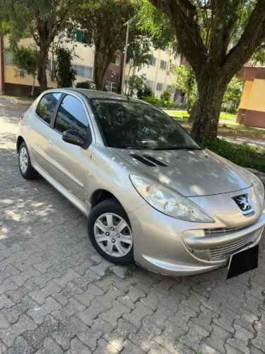 Peugeot 207 XR 1.4 Flex 8V 5P 2011