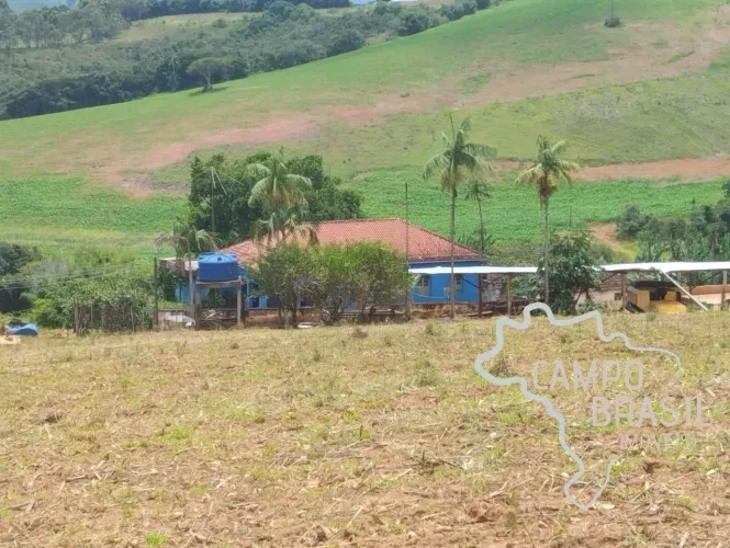 Fazenda para agropecuária e agricultura toda tratoravel.
