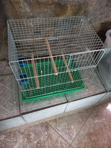 Vende-se gaiolas