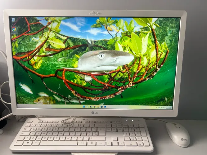 Pc LG all in one