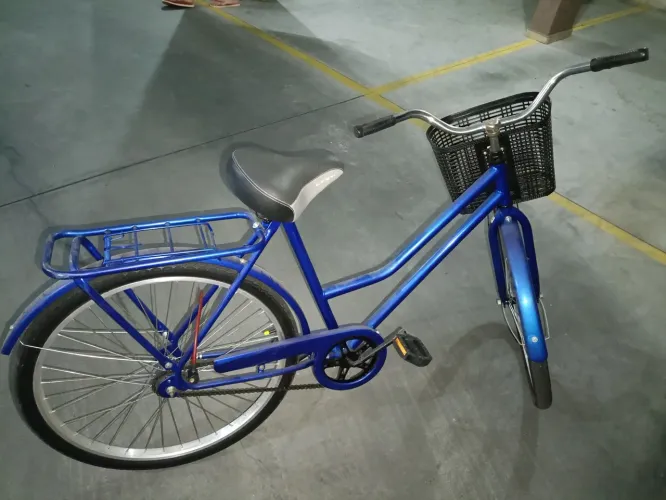 Bicicleta com cestinha 