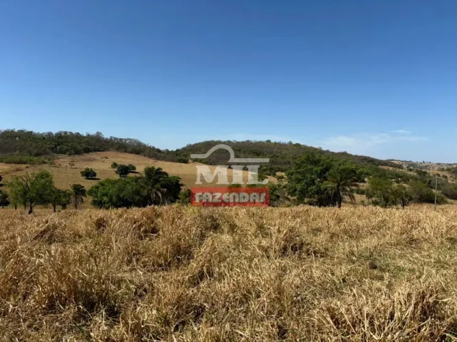 Fazenda 65 alqueires (315 hectares) Caturai - GO