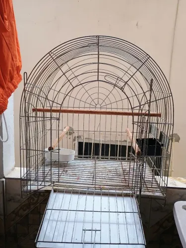 Vendo gaiola