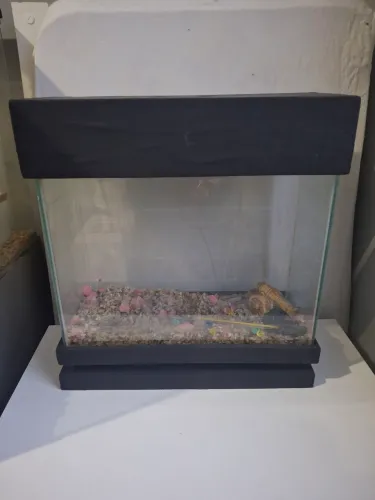 Aquario