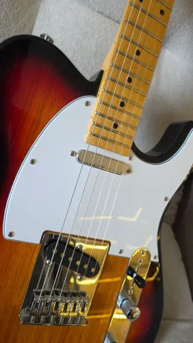 Tagima TW55 Telecaster Fleor Alnico e tarraxas com trava