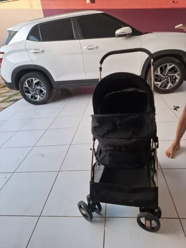 CARINHO DE CACHORRO