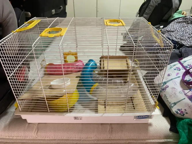 Gaiola para hamister