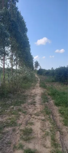 Vende -se terreno valor 1000.000 cem mil localizado na Colonia 13 em lagarto