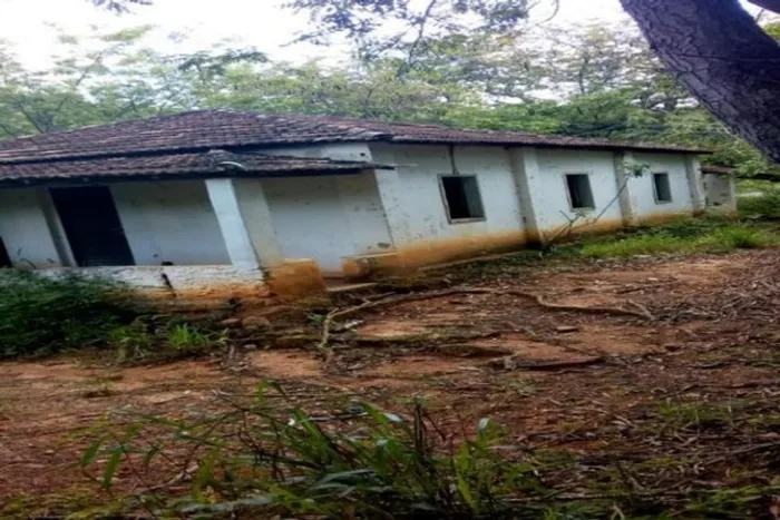 Fazenda de 28 hectares com casa antiga lagoa, córrego, Baldim(Temos varias opções).