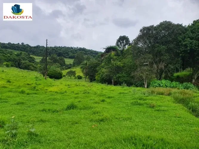 6 Alqueires, sendo 2,5 de lavouras vai a 4 rico em água, Porteira Fechada