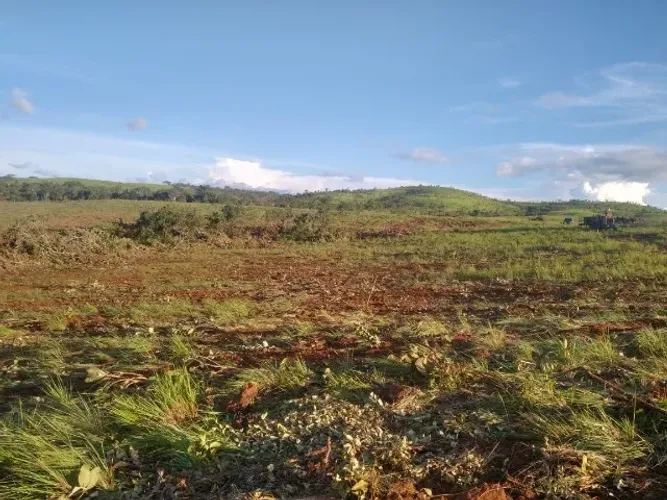 Fazenda a Venda Tocantins 50 Alqueires Cidade Bairro Região Estado