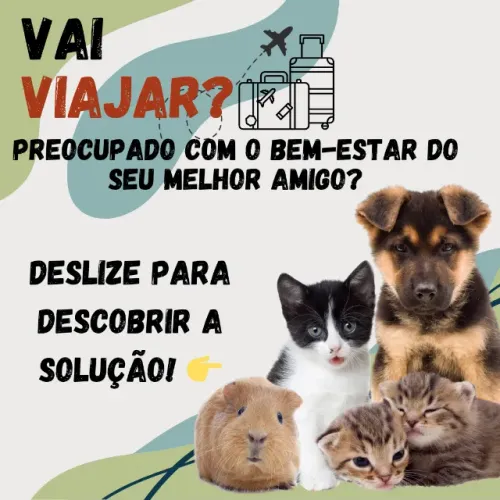 Serviço de Cuidador de Pets