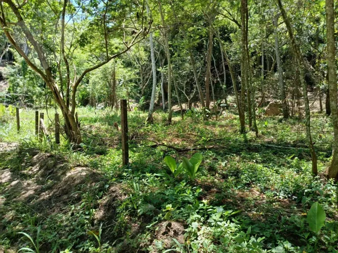 Excelente terreno no Engenho do Mato