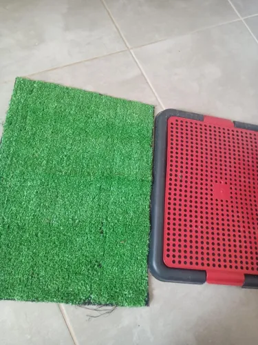 Sanitario Para gato/cachorro + tapete higiênico de grama sintética 