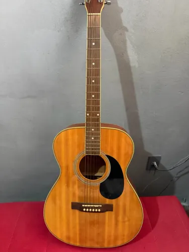Violão Tagima