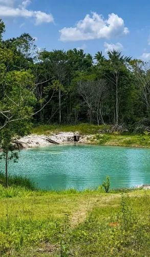 Sítio Produtivo com Cascata, Nascentes e 35 Tarefas em Itaporanga d'Ajuda