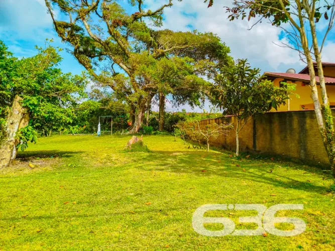 Terreno | São Francisco do Sul | Ervino