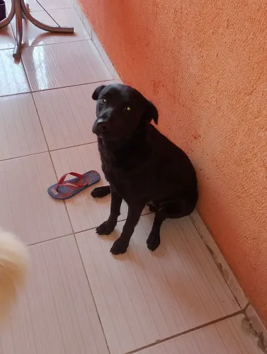 Doação