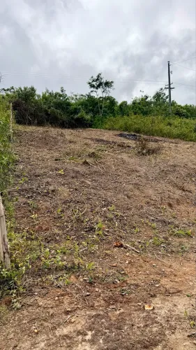 Vendo terreno pra sair hj!