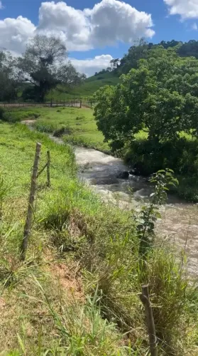 fazenda em campo alegre