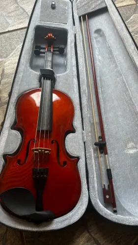 Violino