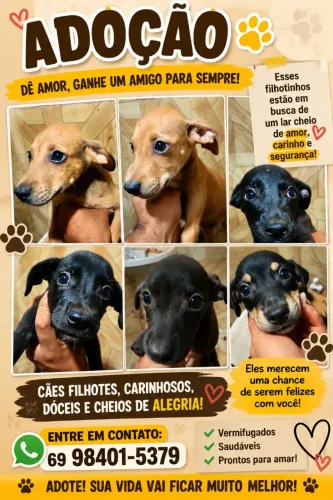Doação responsável 