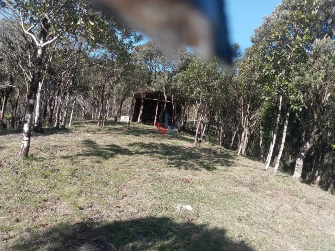 Chácara 36.000m à Venda no Guatupê São José dos Pinhais PR | Próx. BR-277