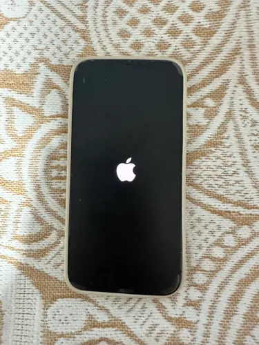 IPhone 12 Pro Max celular