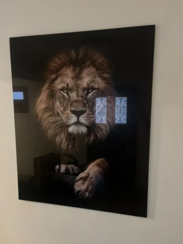 Quadro decorativo leão frontal