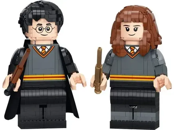 LEGO Harry Potter 76393 - Harry e Hermione Completo