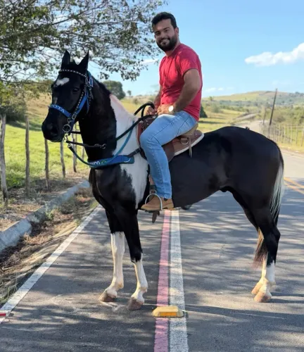 Cavalo pampo campolina para sair logo aceito trocas