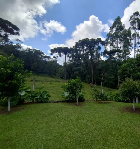 Terreno Rural à Venda - Lapa/PR