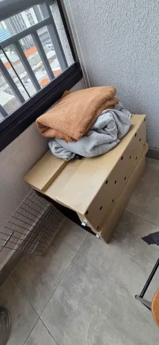Caixa transportadora Pet