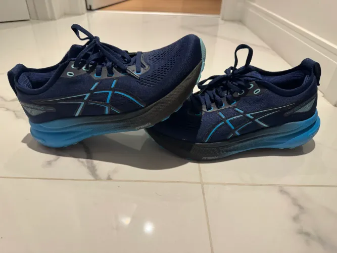 ASICS kayano 31