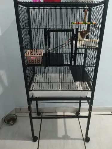Gaiola para rato twister 
